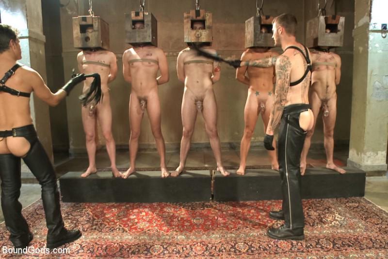 slave germany training Bdsm gay center